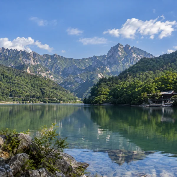 阿哲